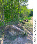 Аммонит. Сад камней, п. Каменномостский (2020 год). Стоковое фото, фотограф Мария Кылосова / Фотобанк Лори