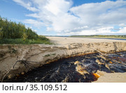 Эрозия песчаного берега. Размывание песка. Стоковое фото, фотограф Яковлев Сергей / Фотобанк Лори