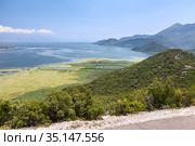 The Montenegrin section of the lake Skadar. Area of national park, Montenegro (2016 год). Стоковое фото, фотограф Кекяляйнен Андрей / Фотобанк Лори