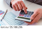 Finance analyst looking and financial reports. Стоковое фото, фотограф Elnur / Фотобанк Лори