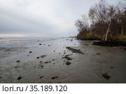 Побережье моря во время отлива. Литоральная зона. Стоковое фото, фотограф Яковлев Сергей / Фотобанк Лори
