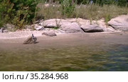Rocky stone shoreline of the reservoir. Скалистая каменная береговая линия водоёма. неглубокая чистая прозрачная вода плещется у каменистого берега. Стоковое видео, видеограф Владимир Ушаров / Фотобанк Лори