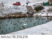 Озеро Криница, с.Шопино, Белгородская область, Россия. Swans and ducks swim in the blue water of the lake in winter. People draw water from a spring (2021 год). Редакционное фото, фотограф irisff / Фотобанк Лори