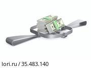 Bear trap and money on white background. Isolated 3D illustration. Стоковая иллюстрация, иллюстратор Ильин Сергей / Фотобанк Лори