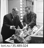 Магадан, 1969, геолог Израиль Ефимович Драбкин, скан плёнки. Редакционное фото, фотограф Варфоломей Тетерин / Фотобанк Лори