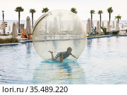 Child have fun inside big plastic balloon on the water of swimming pool on the summer resort. Little boy inside big inflatable transparent ball. Стоковое фото, фотограф Nataliia Zhekova / Фотобанк Лори