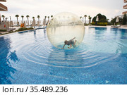 Little boy have fun inside big plastic balloon on the water of swimming pool on the summer resort. Kid inside big inflatable transparent ball running and having fun. Стоковое фото, фотограф Nataliia Zhekova / Фотобанк Лори