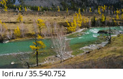 Горный Алтай осенью. Река Катунь. Altai mountains in autumn. Katun river. Стоковое видео, видеограф Евгений Романов / Фотобанк Лори