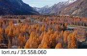 Горный Алтай осенью. Река Чуя. Вид с высоты птичьего полета. Altai mountains in autumn. Chuya river. Aerial view. Стоковое видео, видеограф Евгений Романов / Фотобанк Лори