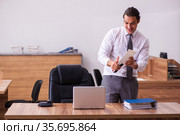Young male employee stapling paper in the office. Стоковое фото, фотограф Elnur / Фотобанк Лори