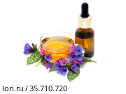 Медуница лекарственная (Pulmonaria officinalis). Цветы и листья медуницы, чашка травяного чая и бутылочка с экстрактом  на белом фоне. Стоковое фото, фотограф Татьяна Белова / Фотобанк Лори