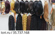 Variety of natural wigs and hairpieces hanging on stand in specialized store (2020 год). Редакционное видео, видеограф Яков Филимонов / Фотобанк Лори