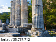 Athena temple in Priene, Turkey. Стоковое фото, фотограф Яков Филимонов / Фотобанк Лори