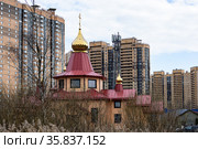 Церковь святых мучеников младенцев Вифлеемских на фоне жилых корпусов. Парголово. Санкт-Петербург. Май (2021 год). Редакционное фото, фотограф Юрий Кирсанов / Фотобанк Лори