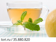 Spearmint. Стоковое фото, агентство Ingram Publishing / Фотобанк Лори