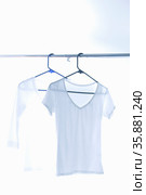 T-shirt. Стоковое фото, агентство Ingram Publishing / Фотобанк Лори