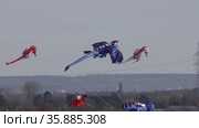 Kites soar high in the sky (2021 год). Редакционное видео, видеограф Gennadij Eichhorn / Фотобанк Лори