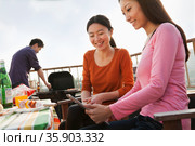Friends Using Digital Tablet at Rooftop Barbecue. Стоковое фото, агентство Ingram Publishing / Фотобанк Лори