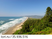The Pacific coast. USA. Oregon. Cape Lookout State park (2012 год). Стоковое фото, фотограф Арестов Андрей Павлович / Фотобанк Лори