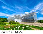Главный ботанический сад им. Н.В. Цицина. Фондовая оранжерея (2021 год). Редакционное фото, фотограф Мила Демидова / Фотобанк Лори