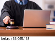 Young male judge working in the courtroom. Стоковое фото, фотограф Elnur / Фотобанк Лори