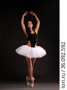 Pretty ballerina in tutu stand on pointess. Стоковое фото, фотограф Гурьянов Андрей / Фотобанк Лори