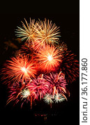 Beautiful fireworks in night sky. Стоковое фото, фотограф ElenArt / Фотобанк Лори