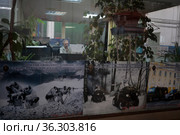Балашихинский завод БЗКМ, начальник участка (2021 год). Редакционное фото, фотограф Дмитрий Неумоин / Фотобанк Лори