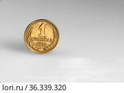 Монета одна Копейка на сером фоне. Копейка рубль бережет. Образец 1991 года крупным планом. Стоковое фото, фотограф Grigory_Gez / Фотобанк Лори