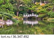 Kyu-yasuda garden, a small japanese stroll garden located in Ryogoku. Tokyo. Japan (2019 год). Стоковое фото, фотограф Сергей Пристяжнюк (Serg Zastavkin) / Фотобанк Лори