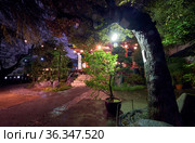 Small local shrine in Shibuya at night. Tokyo. Japan (2019 год). Редакционное фото, фотограф Сергей Пристяжнюк (Serg Zastavkin) / Фотобанк Лори