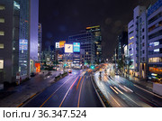 Aoyama-dori avenue at the night lightening. Tokyo. Japan (2019 год). Редакционное фото, фотограф Сергей Пристяжнюк (Serg Zastavkin) / Фотобанк Лори