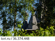 Красивая деревянная крыша среди листвы. Шатровая церковь в селе Ненокса (2021 год). Стоковое фото, фотограф Яковлев Сергей / Фотобанк Лори