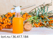 Hippophae sea buckthorn cosmetic oil in a glass bottle with a pipette on a background with copy space, alternative herbal medicine and cosmetology, natural immunomodulator. Стоковое фото, фотограф Светлана Евграфова / Фотобанк Лори