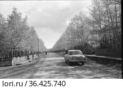 Центральная улица города Алдан с проезжающим автомобилем, главная дорога покрытая асфальтом с деревянной оградой и деревьями на обочинах, Якутия, июнь 1965. Стоковое фото, фотограф Варфоломей Тетерин / Фотобанк Лори