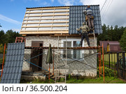 Кровельные работы с металлочерепицей (2021 год). Редакционное фото, фотограф Галина Савина / Фотобанк Лори