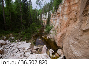 Карстовые ландшафты и река Карьяла. Россия, Архангельская область, Пинежский район. Стоковое фото, фотограф Яковлев Сергей / Фотобанк Лори
