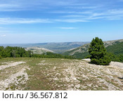 Нижнее плато горного массива Чатыр-Даг, Крым. Вид на село Мраморное (2021 год). Стоковое фото, фотограф Мария Кылосова / Фотобанк Лори