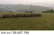 Алтай. Горный луг. Круглый тюк сена. Вид с воздуха. Altay. Mountain meadow. Baled grass hay. Aerial view. Стоковое видео, видеограф Евгений Романов / Фотобанк Лори