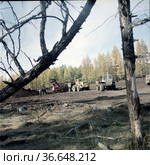 Несколько тракторов К-700 с прицепами занимаются удобрением земли, внесение удобрений в землю, сельхоз работы в летний день, Усть-Татта, Якутия, 1989 (ориентировочно) Стоковое фото, фотограф Варфоломей Тетерин / Фотобанк Лори