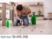 Young man exterminating cockroaches at home. Стоковое фото, фотограф Elnur / Фотобанк Лори
