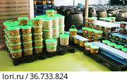 Large assortment of pickled olives in plastic buckets and jars stacked on pallets on artisanal pickles factory. Стоковое видео, видеограф Яков Филимонов / Фотобанк Лори