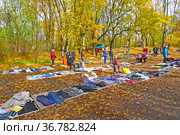 Барахолка в Каштановом парке. Калининград (2021 год). Редакционное фото, фотограф Ирина Борсученко / Фотобанк Лори