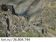 Tsoy-Pede. Itum Kale. Chechnya. Russia (2021 год). Стоковое фото, фотограф Знаменский Олег / Фотобанк Лори