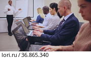 Side view of managers group working at laptops in company office. Стоковое видео, видеограф Яков Филимонов / Фотобанк Лори