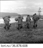Портрет четырех геологов с рюкзаками и ружьями за спиной, исследователи позируют во время похода, они стоят рядом с речкой, Билибино, Якутия, июль 1969. Редакционное фото, фотограф Варфоломей Тетерин / Фотобанк Лори