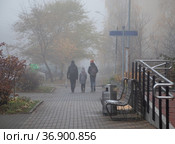 Москва, микрорайон Марфино, СВАО. Семья с ребенком уходит в плотный туман, непогода в городе (2021 год). Стоковое фото, фотограф Наталья Николаева / Фотобанк Лори