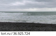 Берег Чёрного моря. Сильный шторм, большие волны. The Black Sea coast. Strong storm, big waves. Стоковое видео, видеограф Евгений Романов / Фотобанк Лори