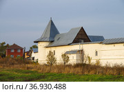 Свято-Троицкий Белопесоцкий монастырь в Ступино, Московская область, Россия (2020 год). Стоковое фото, фотограф Natalia Sidorova / Фотобанк Лори