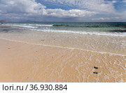 Fuerteventura, Canary Islands, beaches collectively called Grandes Playas on the edge of Nature Park Dunes of Corralejo (2021 год). Стоковое фото, фотограф Tamara Kulikova / Фотобанк Лори